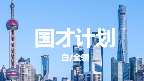 白(bái)金(jīn)領國(guó)才計(jì)劃是(shì)幹什(shén)麽的(de)？